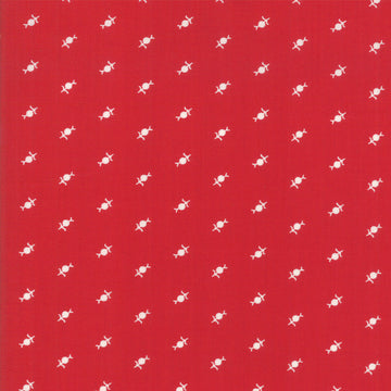 Cotone Americano Fiore Astratto