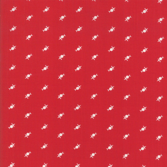 Cotone Americano Fiore Astratto