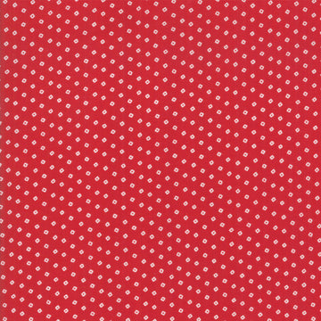 Cotone Americano Pois Quadrato - 0