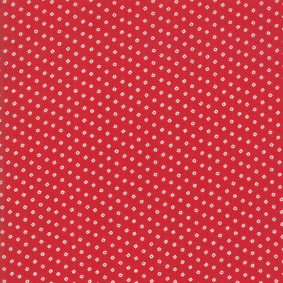 Cotone Americano Pois Quadrato