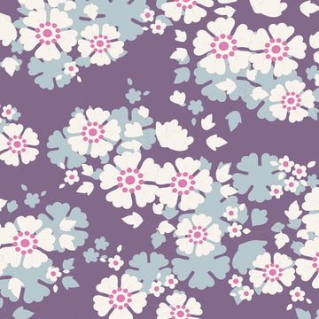 Acquista violetto Tilda Woodland Aster
