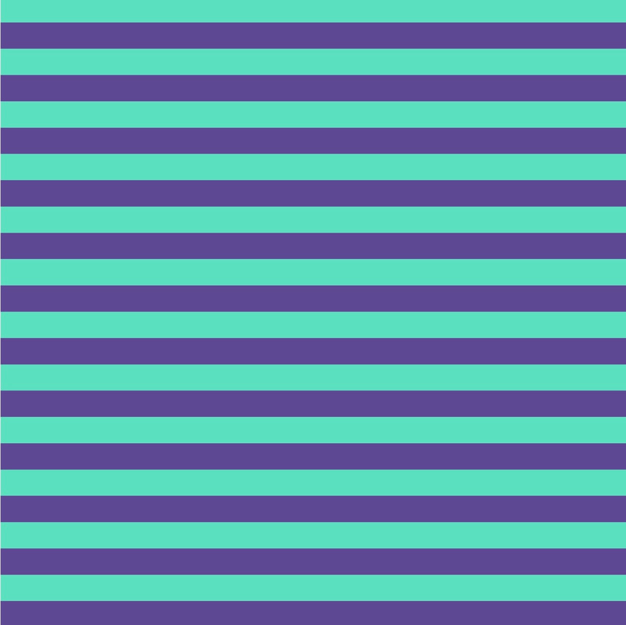 Tula Pink Stripes - 0