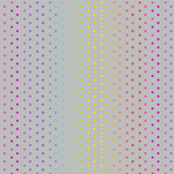 Tula Pink True Colors Hexy