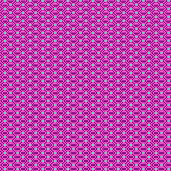 Tula Pink True Colors Hexy